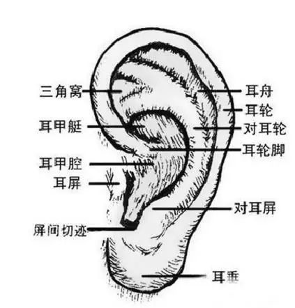 速寫五官繪畫