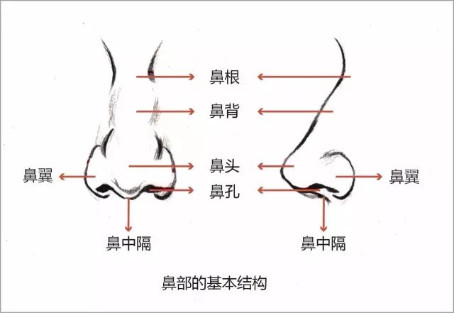 速寫五官繪畫