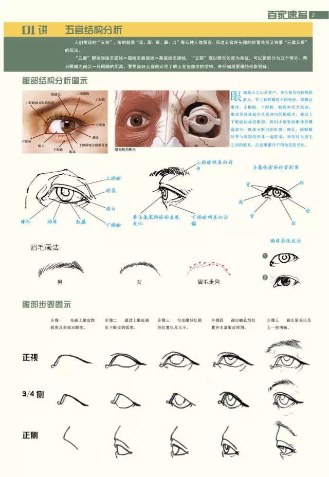 速寫五官繪畫