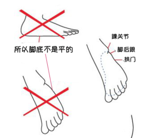 漫畫教程|最全面腳部畫法詳解