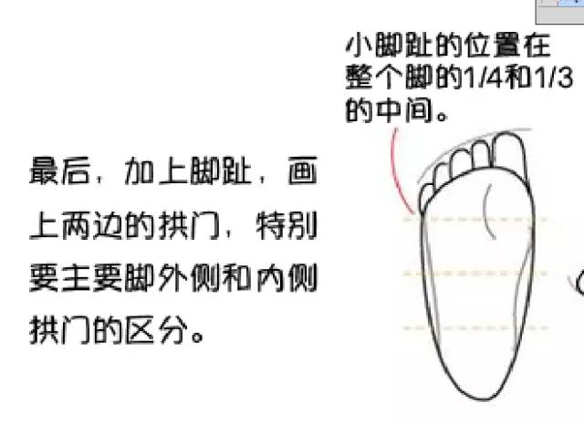 漫畫教程|最全面腳部畫法詳解