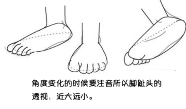 漫畫教程|最全面腳部畫法詳解