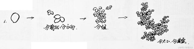 零基礎繪畫|樹葉的畫法