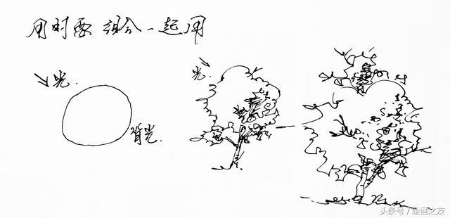 零基礎繪畫|樹冠的畫法