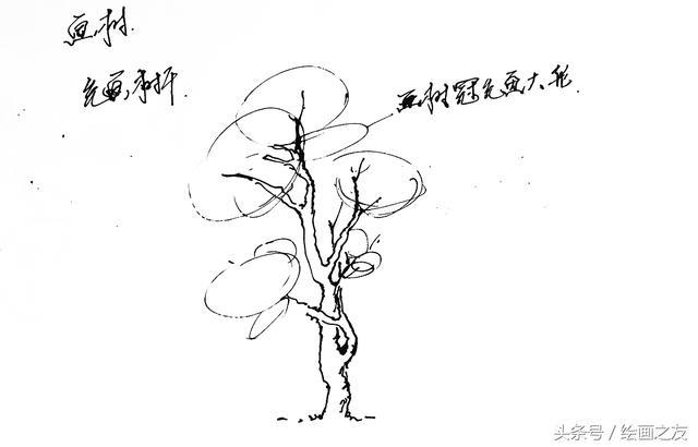 零基礎繪畫|樹冠的畫法
