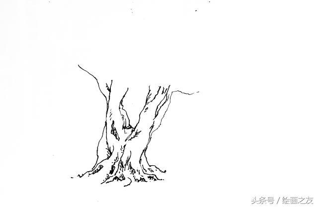 零基礎繪畫|樹冠的畫法