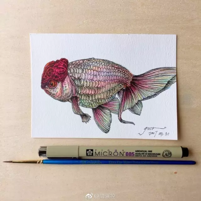 淡彩金魚插畫教程