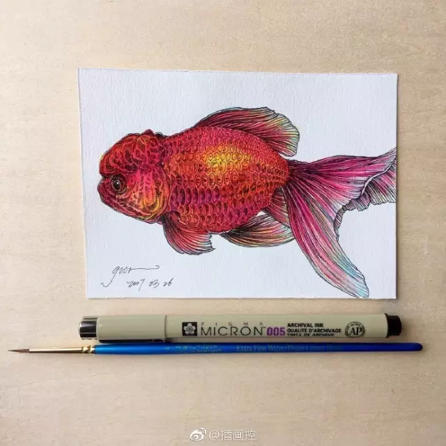 淡彩金魚插畫教程