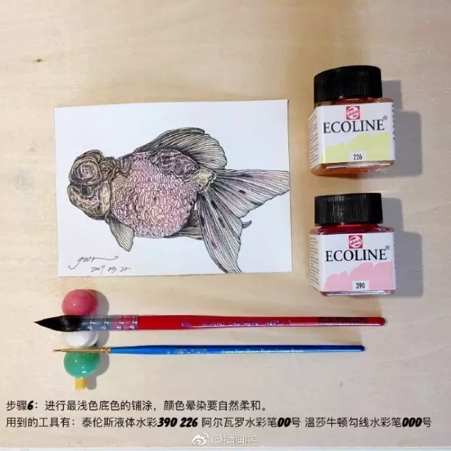 淡彩金魚插畫教程