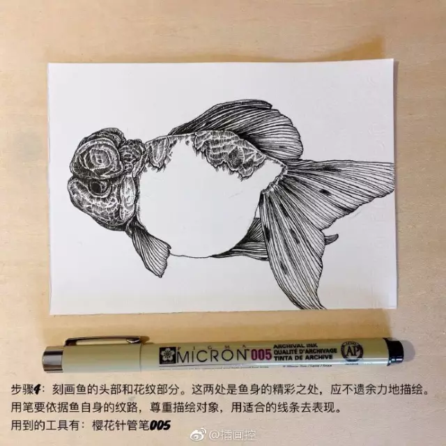 淡彩金魚插畫教程