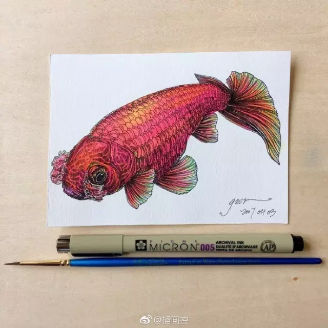 淡彩金魚插畫教程