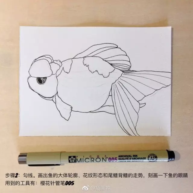 淡彩金魚插畫教程