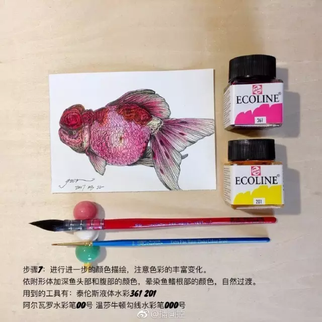 淡彩金魚插畫教程
