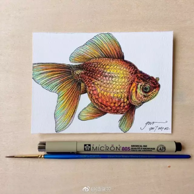 淡彩金魚插畫教程