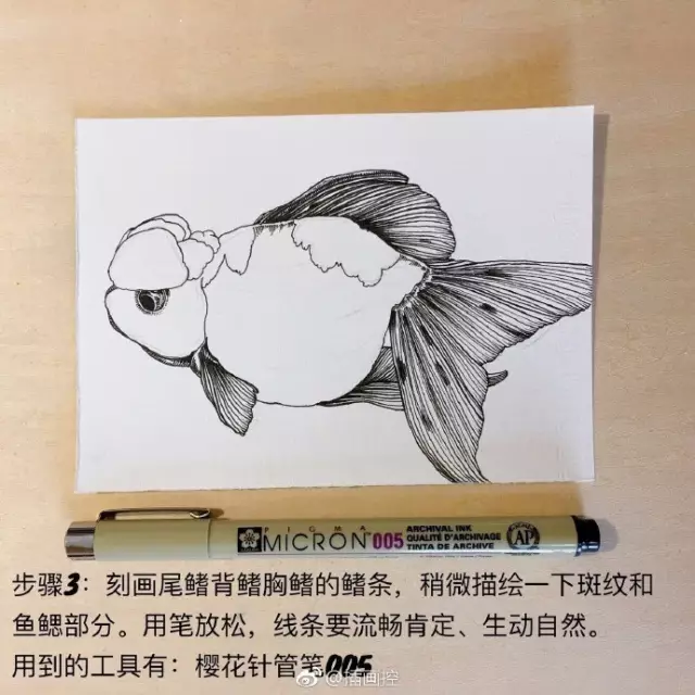 淡彩金魚插畫教程