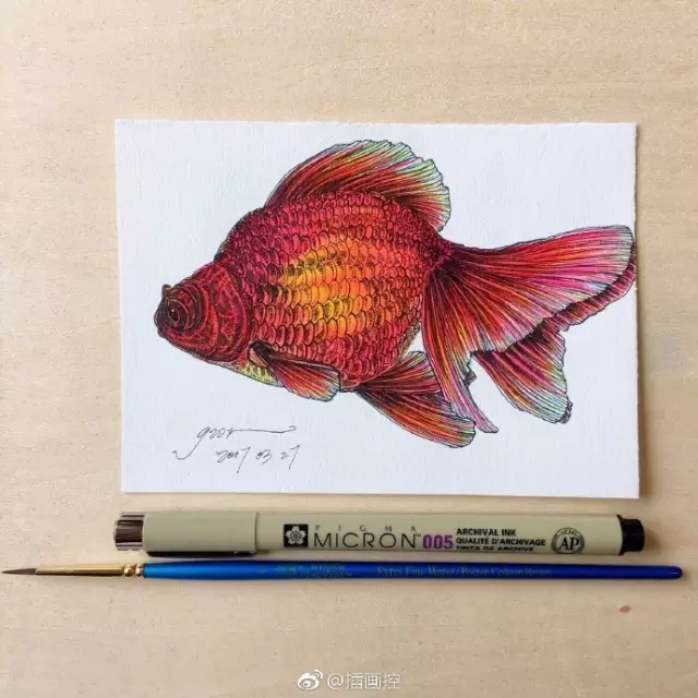 淡彩金魚插畫教程