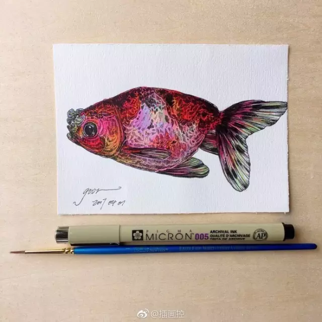 淡彩金魚插畫教程