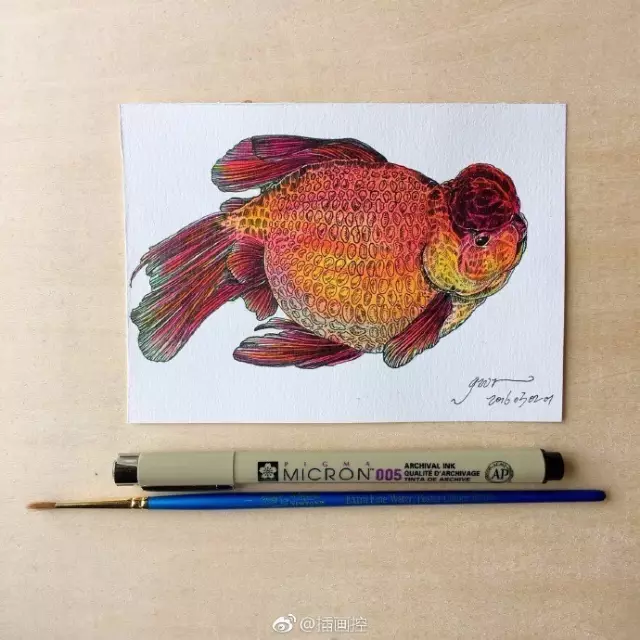 淡彩金魚插畫教程