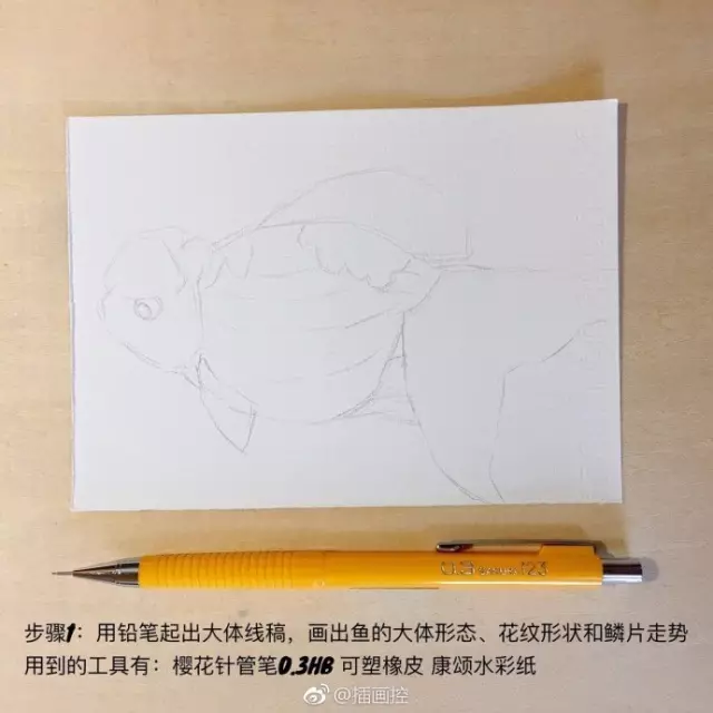 淡彩金魚插畫教程