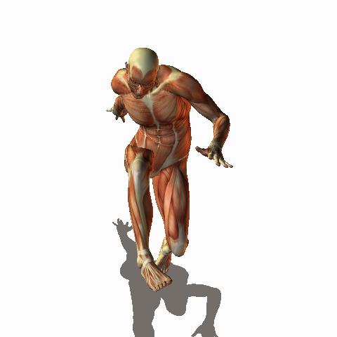 原畫基礎教程之人體動態分析
