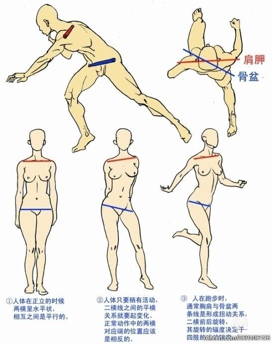 原畫基礎教程之人體動態參考素材套圖