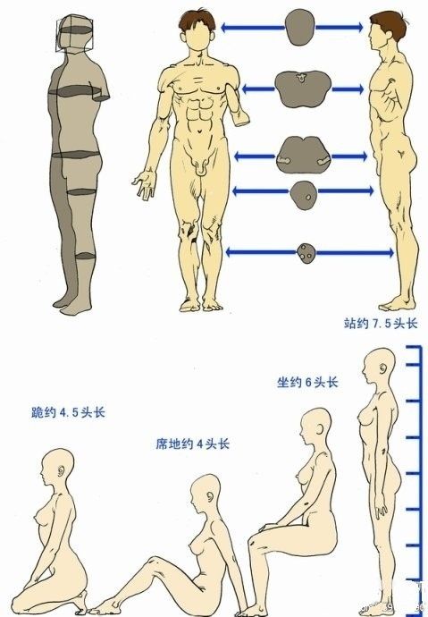 原畫基礎教程之人體動態參考素材套圖