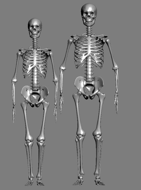 3DMAX建模教程之女性角色模型
