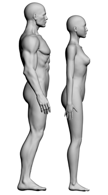 3DMAX建模教程之女性角色模型