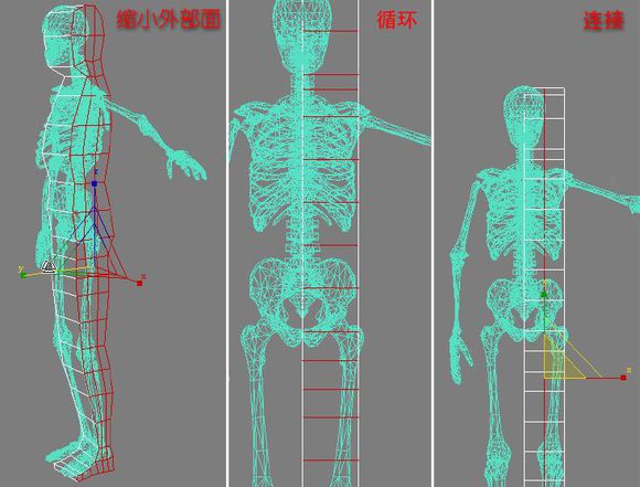 3DMAX建模教程之女性角色模型