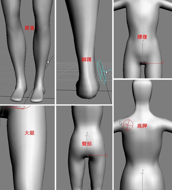 3DMAX建模教程之女性角色模型