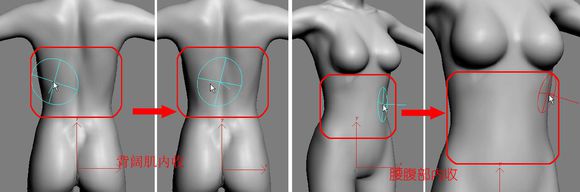3DMAX建模教程之女性角色模型