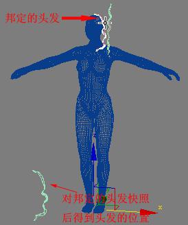 3DMAX建模教程之女性角色模型