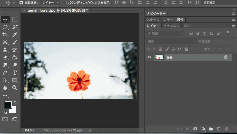 學會這20招PS操作技巧，提高80%的工作效率
