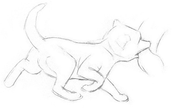 素描教程：狐貍的素描畫具體畫法