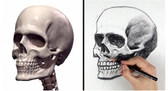 素描教程：人物頭部骨骼結構的素描畫法步驟