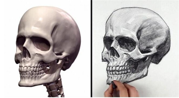 素描教程：人物頭部骨骼結構的素描畫法步驟