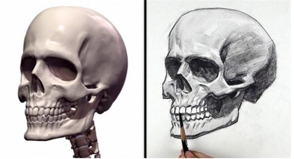 素描教程：人物頭部骨骼結構的素描畫法步驟