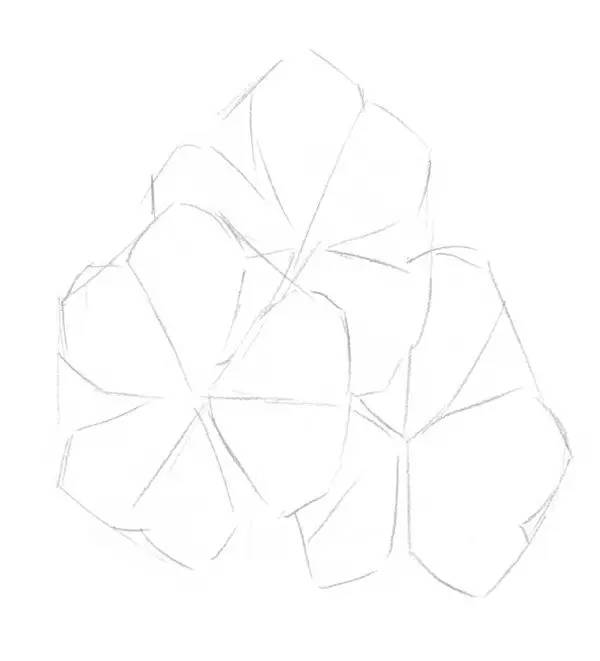 素描畫三葉草教程