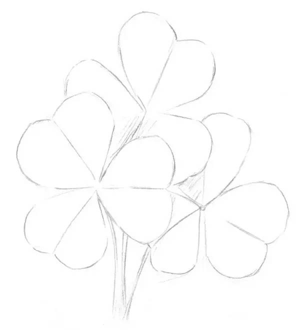 素描畫三葉草教程