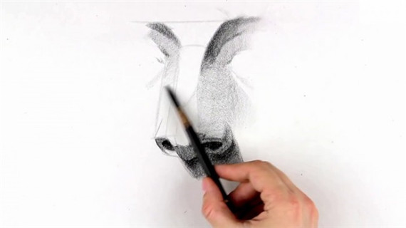 素描鼻子畫法步驟圖片教程
