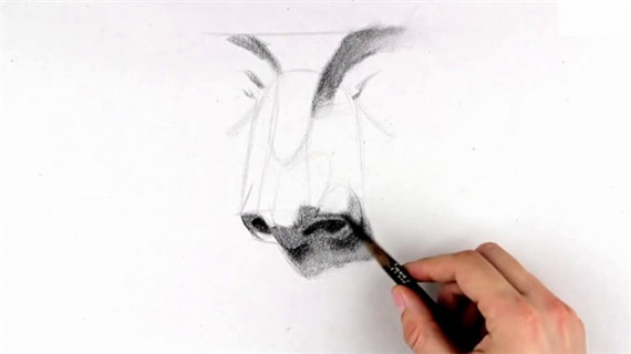 素描鼻子畫法步驟圖片教程