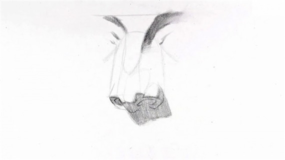 素描鼻子畫法步驟圖片教程