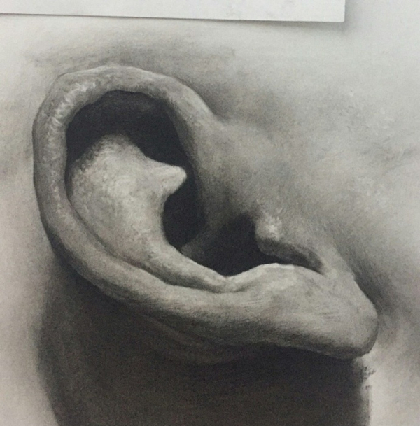 素描耳朵的畫法圖解