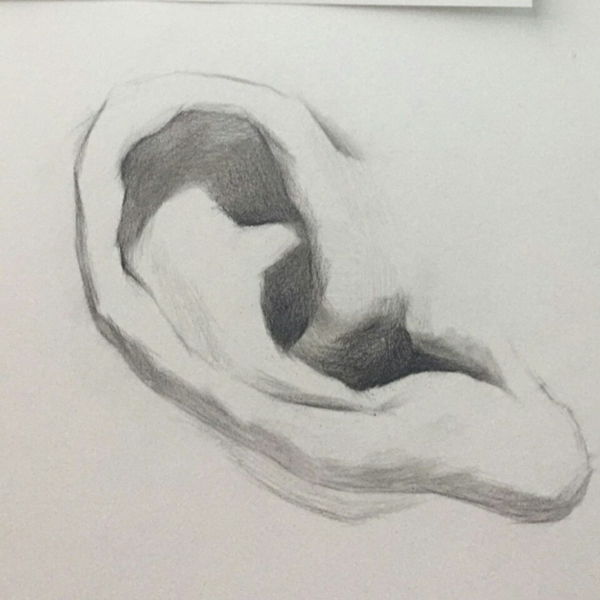 素描耳朵的畫法圖解