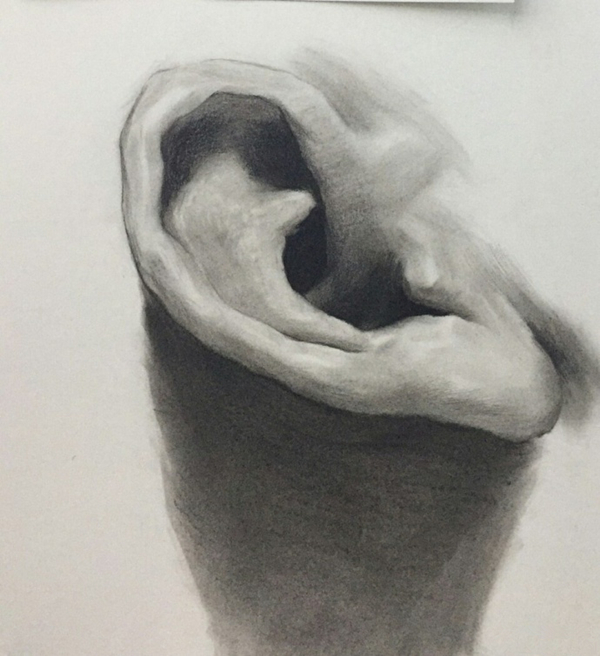 素描耳朵的畫法圖解