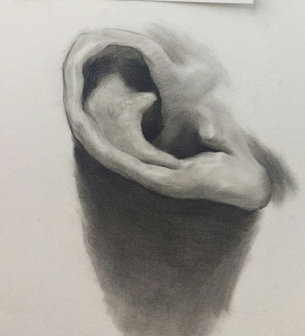 素描耳朵的畫法圖解
