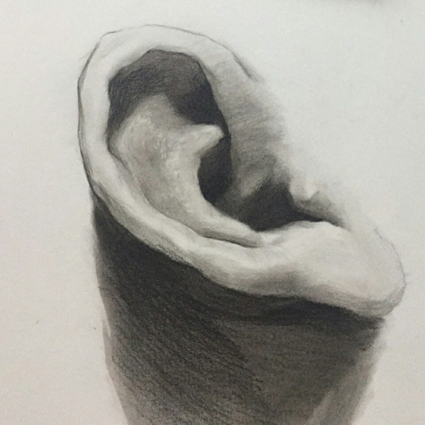 素描耳朵的畫法圖解