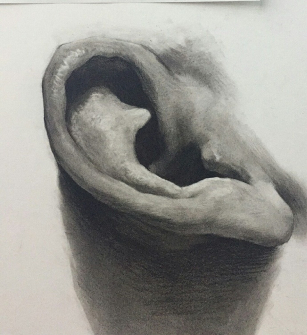 素描耳朵的畫法圖解