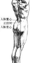 原畫基礎之人體運動結構詳解