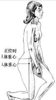 原畫基礎之人體運動結構詳解